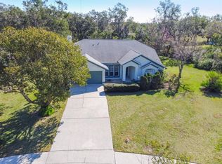 9616 Glenpointe Dr, Riverview, FL 33569