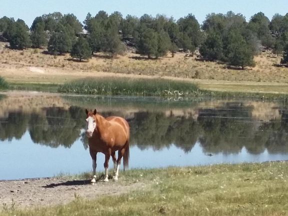 2nd image of 0 Sprague River Rd
