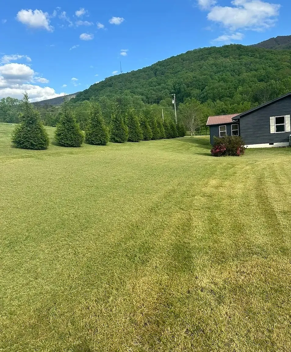 3 bed, 2100 sqft, $2,950 — Photo 2