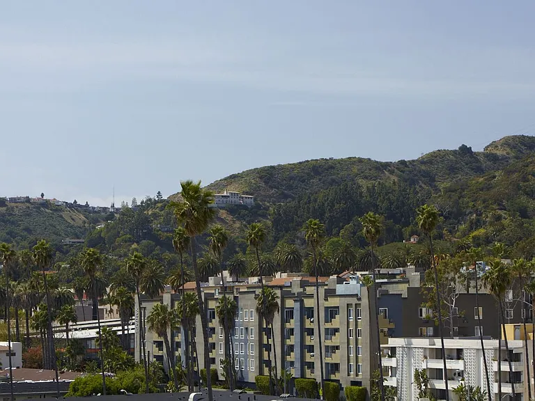 The Avenue Hollywood — Photo 29
