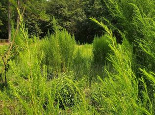 Ardis Rd, Pinewood, SC 29125