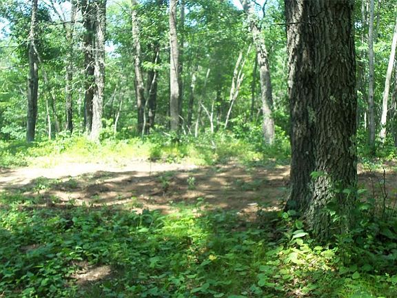 5th image of Lot 6 Birch Tree T Trail