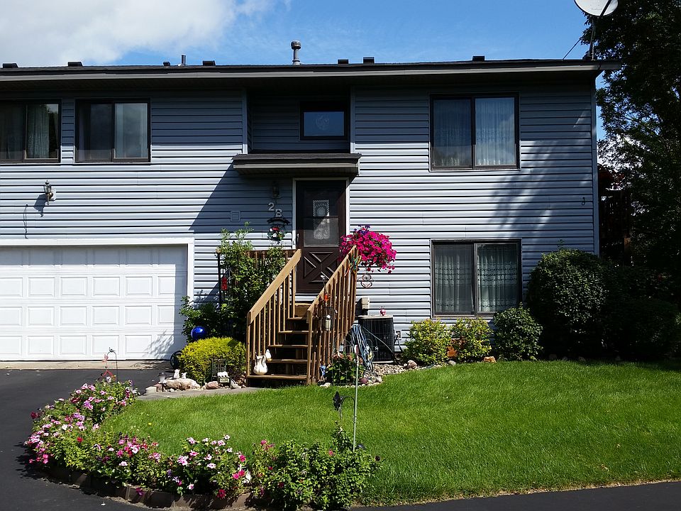 Many perennial flowers