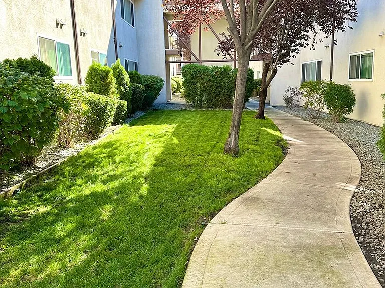 Sherwood Forest Apartments — Photo 48