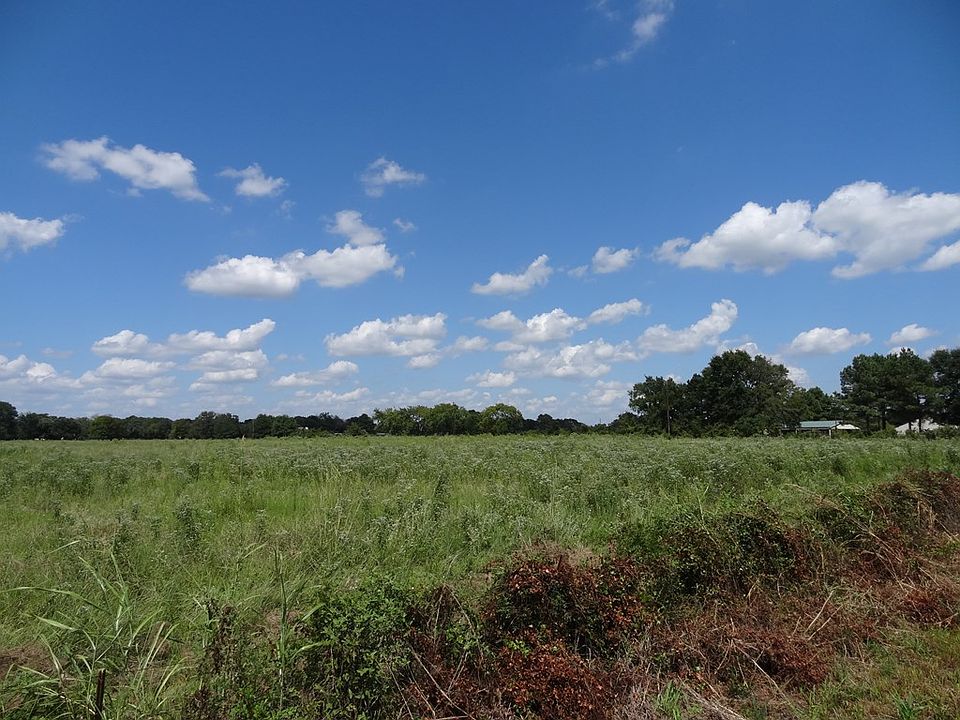 2nd image of LOT 8 County Road 2501