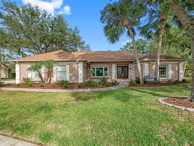 18507 Putters Pl, Tampa, FL, 33647