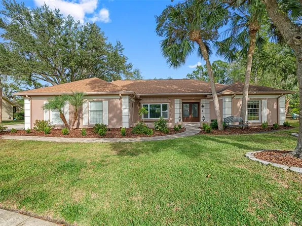 18507 Putters Pl, Tampa, FL 33647