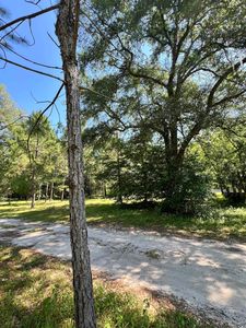 Xx Cayuse Dr #3, Crawfordville, FL, 32327