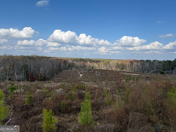 2nd image of 994 Joe Jones Rd
