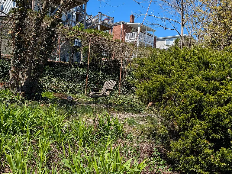 48-50 Edgecliff Rd #2 — Photo 17