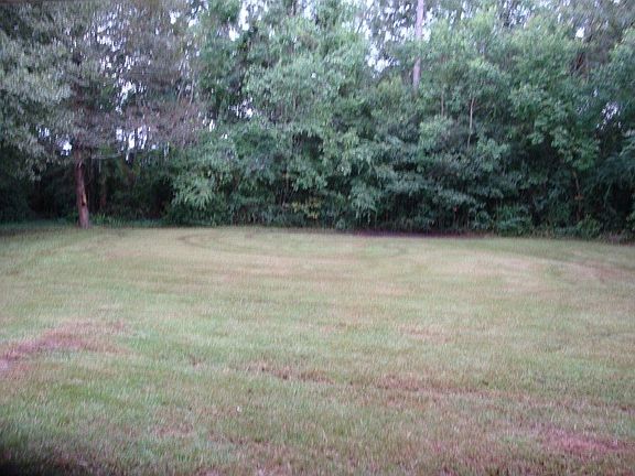 2nd image of 703 E Lakeshore Dr