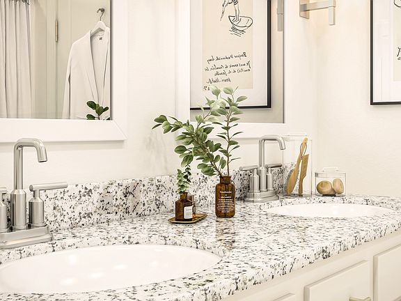 Beautiful owner s bath details