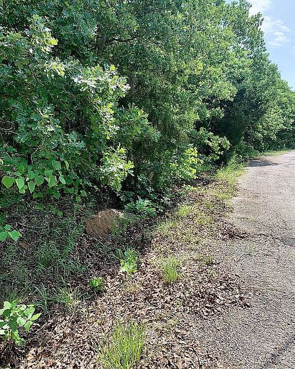 2nd image of 0 Kens Rd