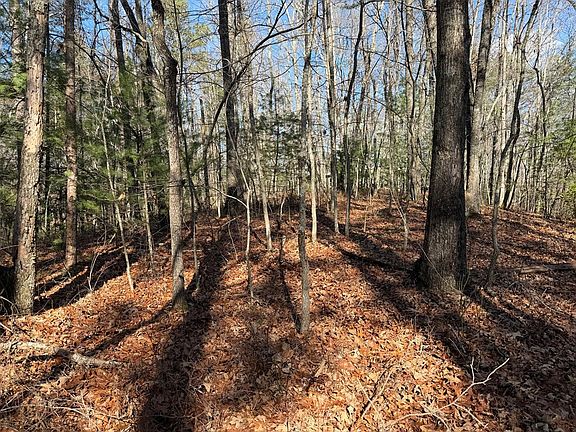 4th image of 456 Four 5 &6 Mountain Wood