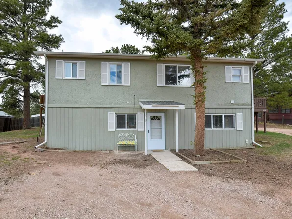 418 N Baldwin St #418, Woodland Park, CO 80863