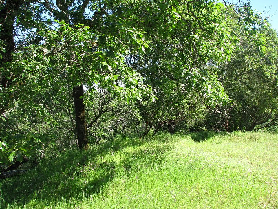 1st image of Vacant Lot 16