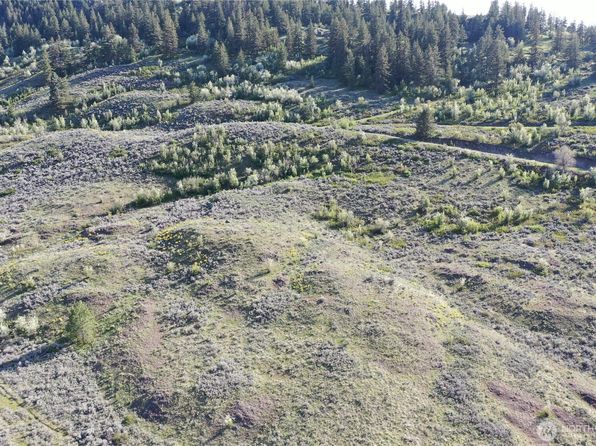 0 TBD Wannacut Lake Rd Lot 5, Oroville, WA 98844