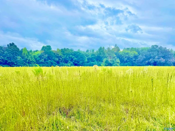 1376 Neel School Rd, Danville, AL 35619