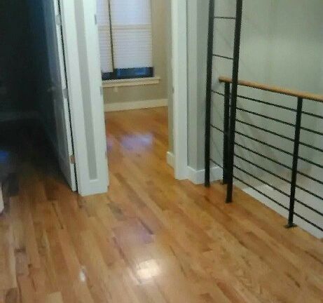 2nd image of 1455 Herkimer St #2