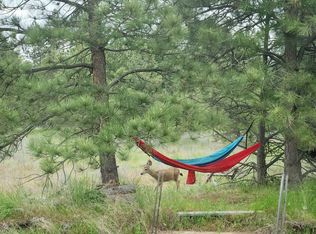 20307 W Sterling Rd PARCEL 12312.9018, Cheney, WA 99004