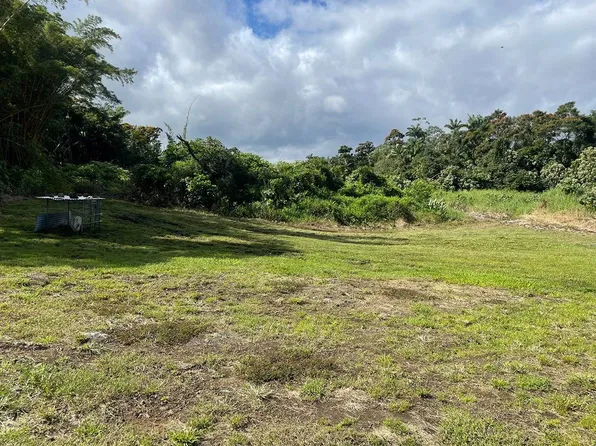 60 Hale Manu Dr Lot 903-B, Hilo, HI 96720