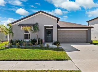 10329 Scarlett Skimmer Dr, Riverview, FL 33578