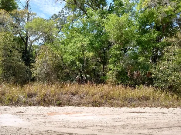 133 Peach Orchard Rd, Pomona Park, FL 32181