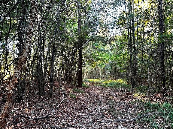 3rd image of 0 Forest Service Rd #307A