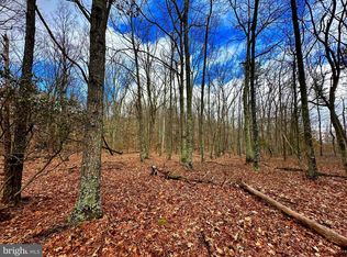 30 & 31 Boonedock Dr, Upper Tract, WV 26866