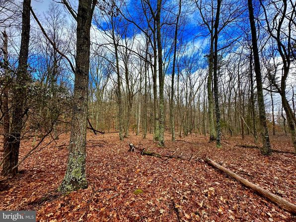 30 & 31 Boonedock Dr, Upper Tract, WV 26866