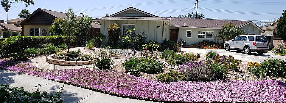 DR landscape in full bloom