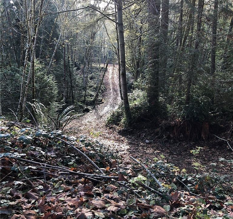 1st image of 0 153rd Avenue SW