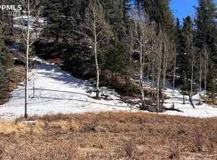 506 Arrowhead Rd, Florissant, CO 80816