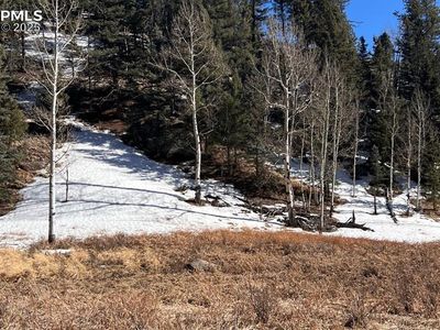 506 Arrowhead Rd, Florissant, CO, 80816