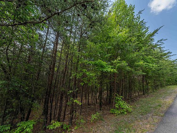 2nd image of 31 Whispering Pines Dr