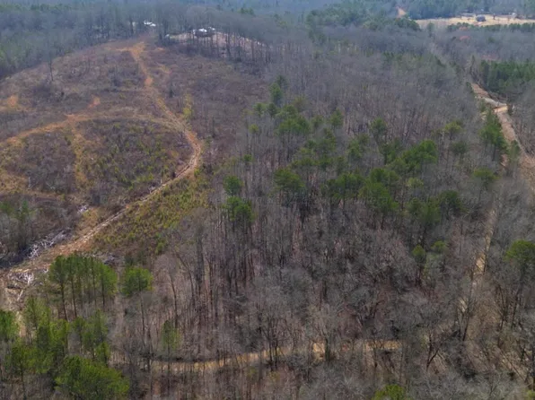 Co Road 60, Winfield, AL 35594