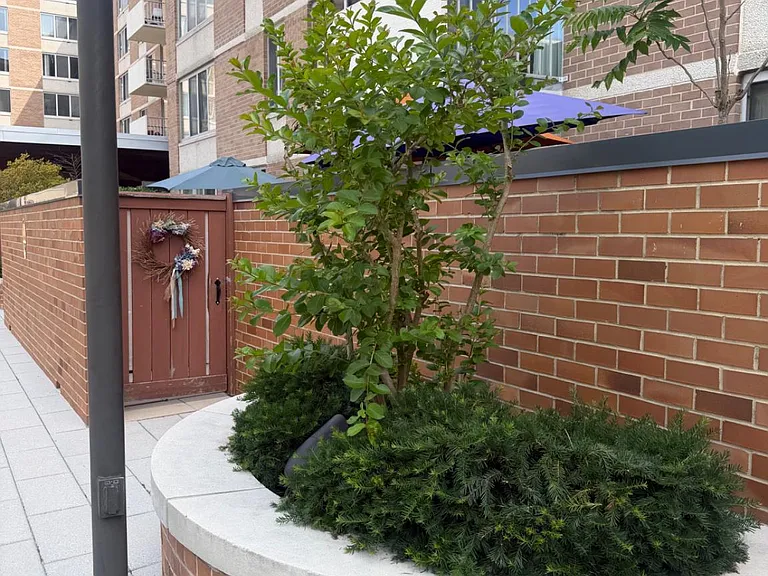 2939 Van Ness St NW #504 — Photo 47