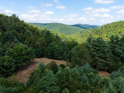 4 Zinks Mill School Rd, Montebello, VA, 24464