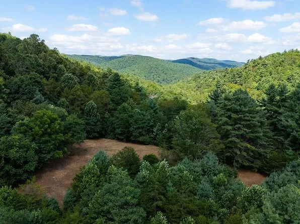 4 Zinks Mill School Rd, Montebello, VA 24464