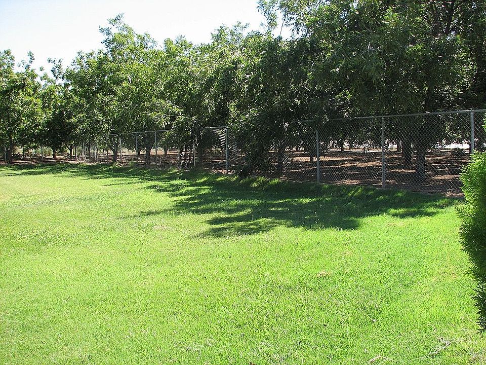 Backyard & Orchard