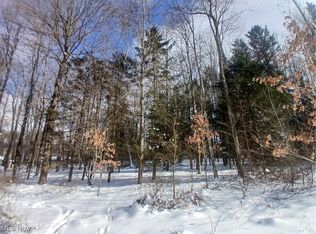 35224 Hull Rd, Salineville, OH 43945