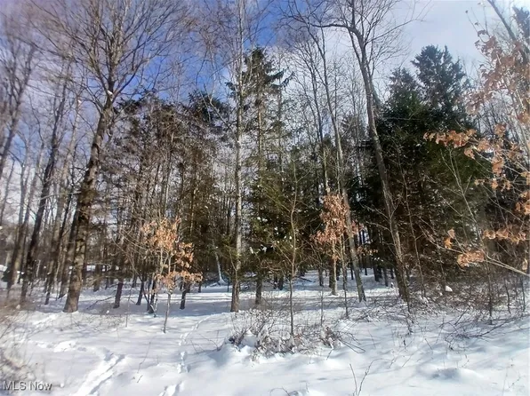 35224 Hull Rd, Salineville, OH 43945