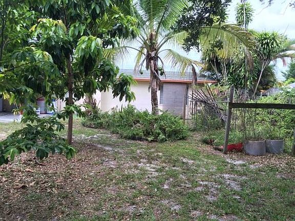 Lush privite backyard