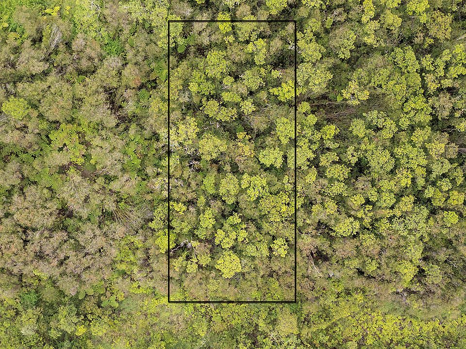 1st image of 12th St Lot 770