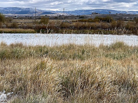 Sits on the border of a pond