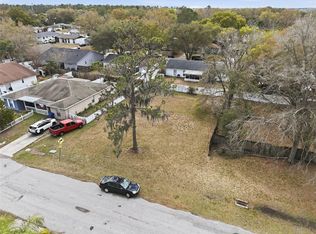 Penny Loop LOT B0, Land O Lakes, FL 34639