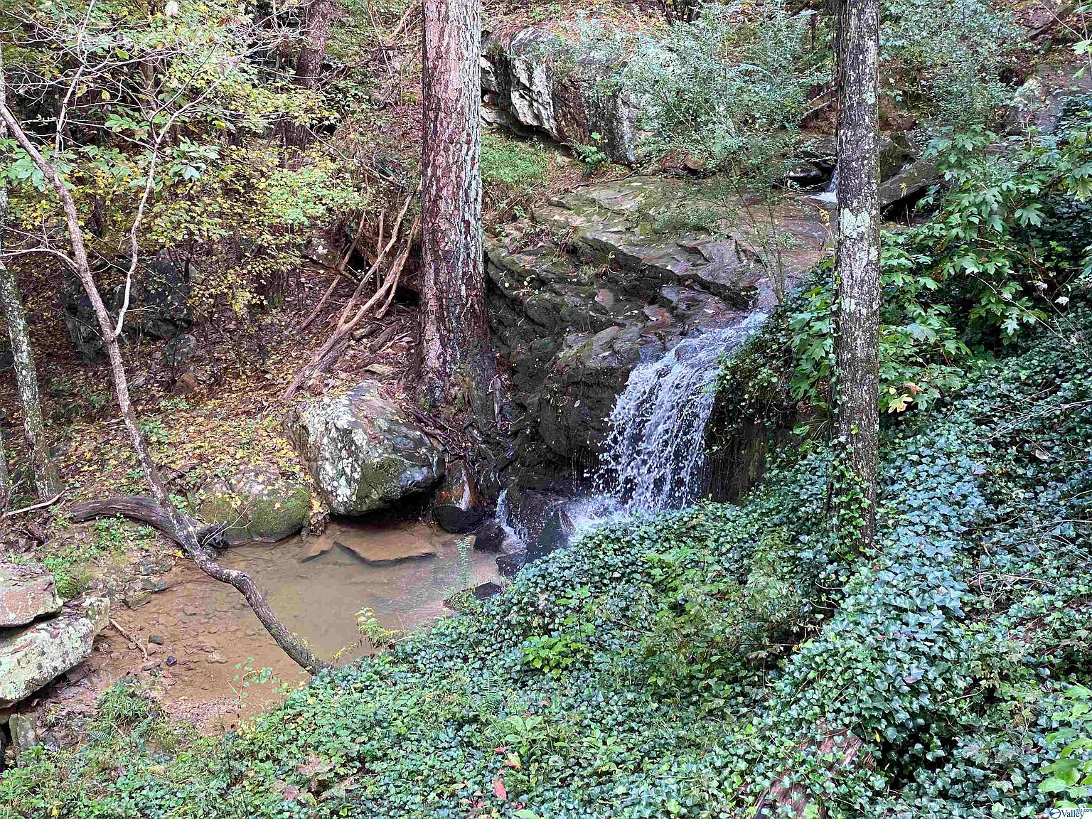 2750 County Road 115, Fort Payne, AL 35967 Zillow