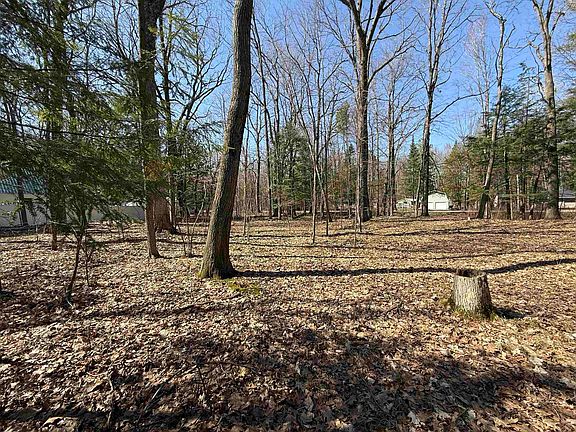 4th image of S Forest Haven Rd