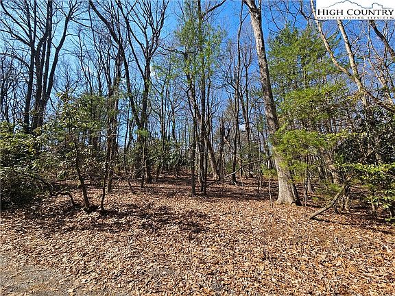 4th image of TBD Mount Retreat Road