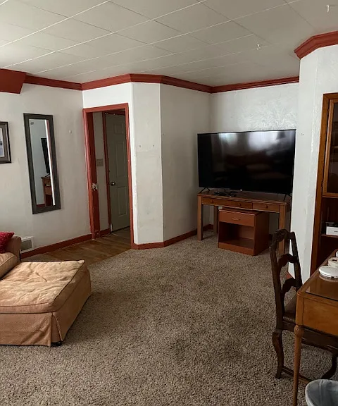Large Screen TV